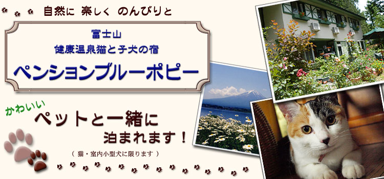 富士山 河口湖のペンション ブルーポピーはペットと一緒に泊まれます